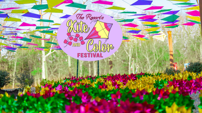 Colorful kites displayed over pinwheels